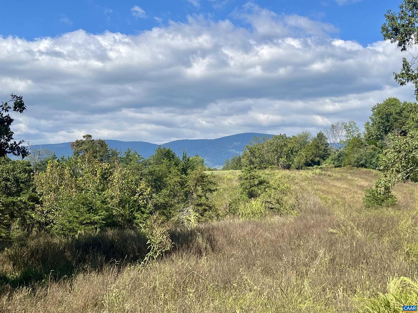 MIDWAY RD, CHARLOTTESVILLE, Virginia 22903, ,Farm,For sale,MIDWAY RD,669632 MLS # 669632