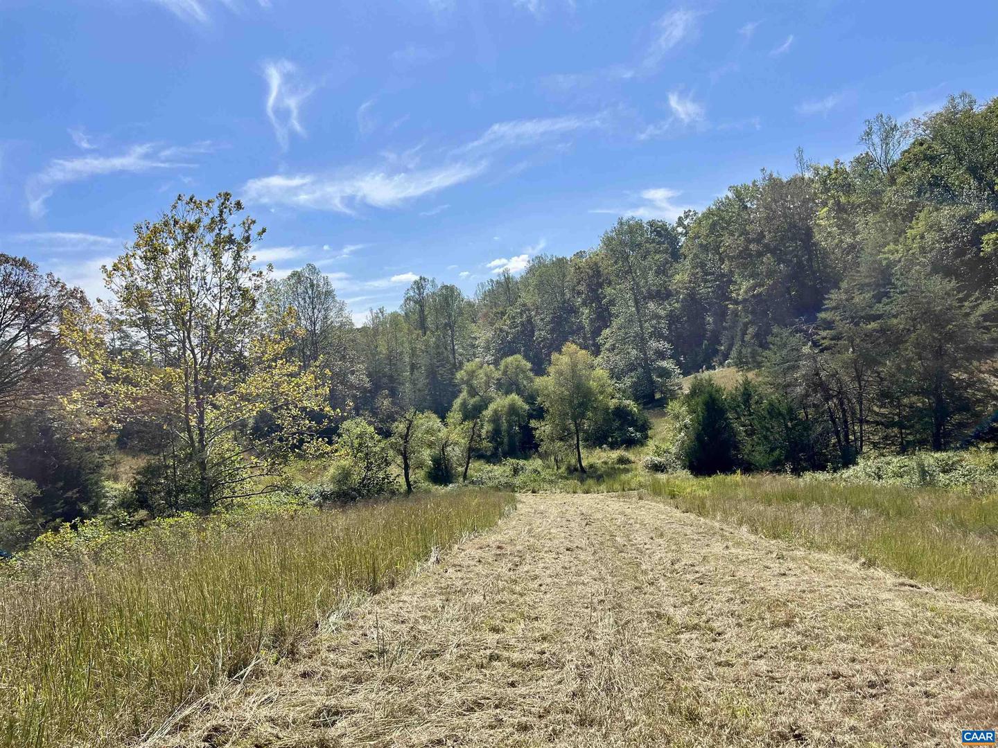 MIDWAY RD, CHARLOTTESVILLE, Virginia 22903, ,Farm,For sale,MIDWAY RD,669632 MLS # 669632