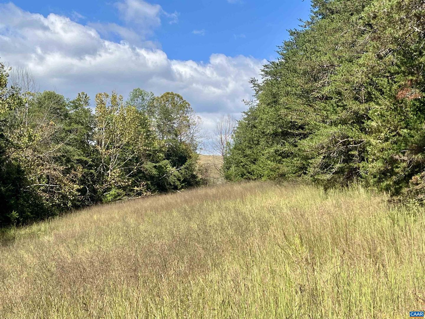 MIDWAY RD, CHARLOTTESVILLE, Virginia 22903, ,Farm,For sale,MIDWAY RD,669632 MLS # 669632