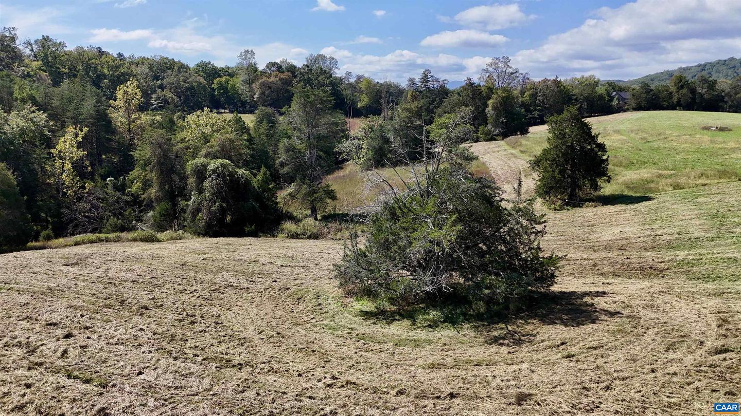 MIDWAY RD, CHARLOTTESVILLE, Virginia 22903, ,Farm,For sale,MIDWAY RD,669632 MLS # 669632