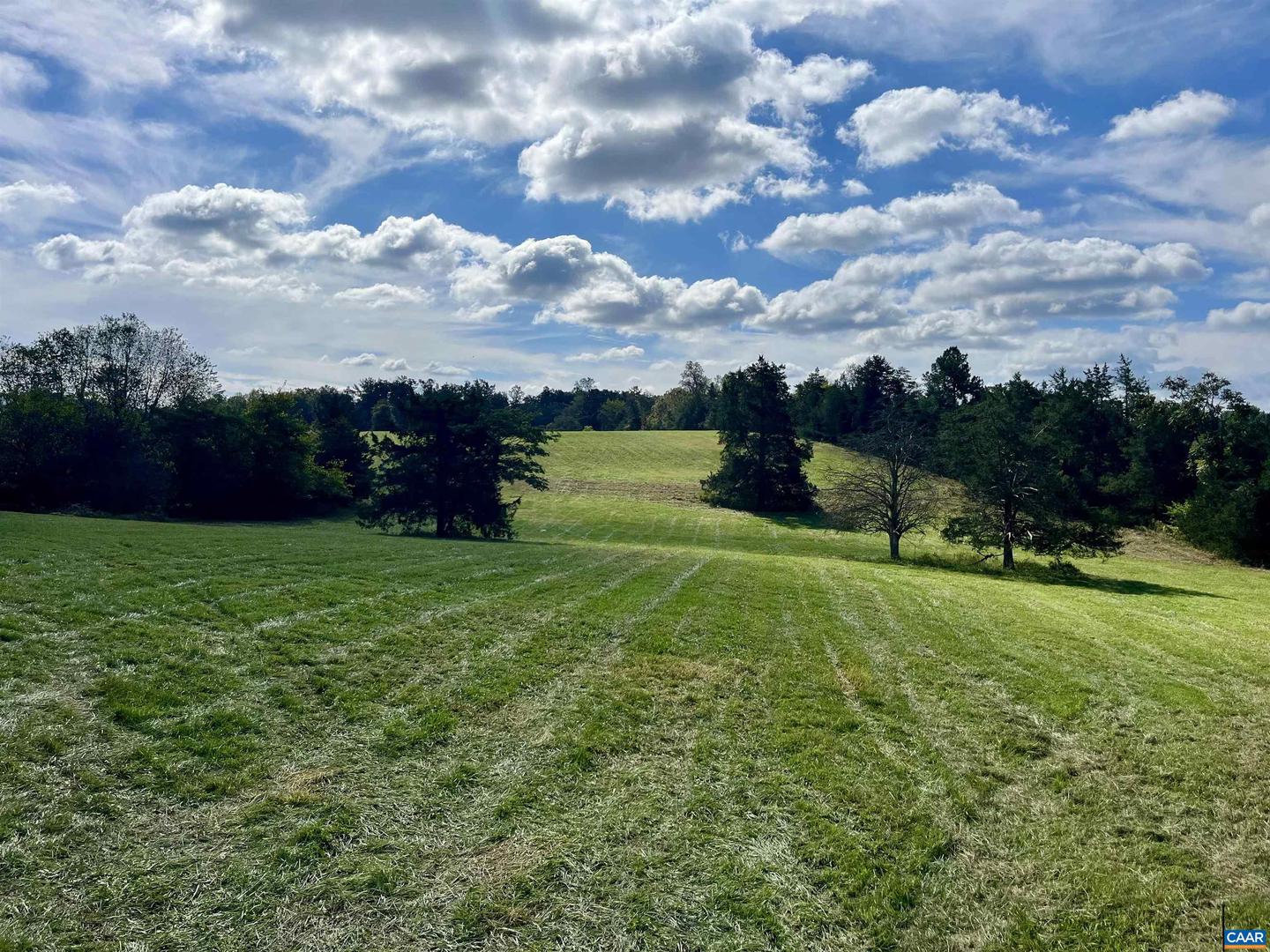MIDWAY RD, CHARLOTTESVILLE, Virginia 22903, ,Farm,For sale,MIDWAY RD,669632 MLS # 669632