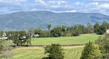 MIDWAY RD, CHARLOTTESVILLE, Virginia 22903, ,Farm,For sale,MIDWAY RD,669632 MLS # 669632