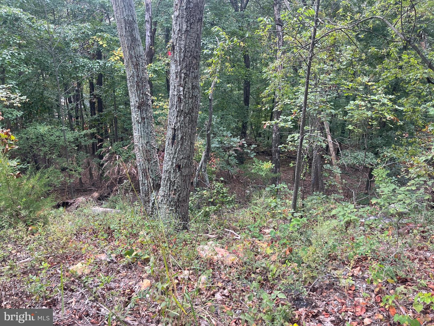 LOT 41 PANORAMA VIEW, STANLEY, Virginia 22851, ,Land,For sale,LOT 41 PANORAMA VIEW,VAPA2005444 MLS # VAPA2005444