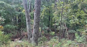 LOT 41 PANORAMA VIEW, STANLEY, Virginia 22851, ,Land,For sale,LOT 41 PANORAMA VIEW,VAPA2005444 MLS # VAPA2005444