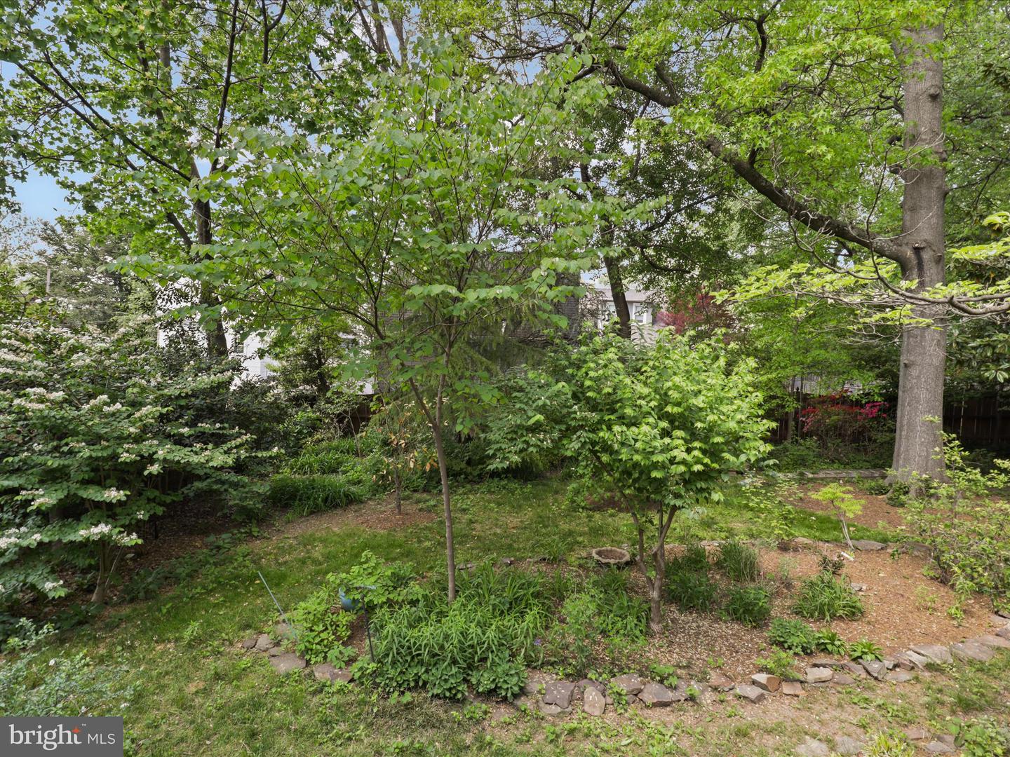 2308 N LEXINGTON ST, ARLINGTON, Virginia 22205, 3 Bedrooms Bedrooms, 5 Rooms Rooms,1 BathroomBathrooms,Residential,For sale,2308 N LEXINGTON ST,VAAR2062086 MLS # VAAR2062086