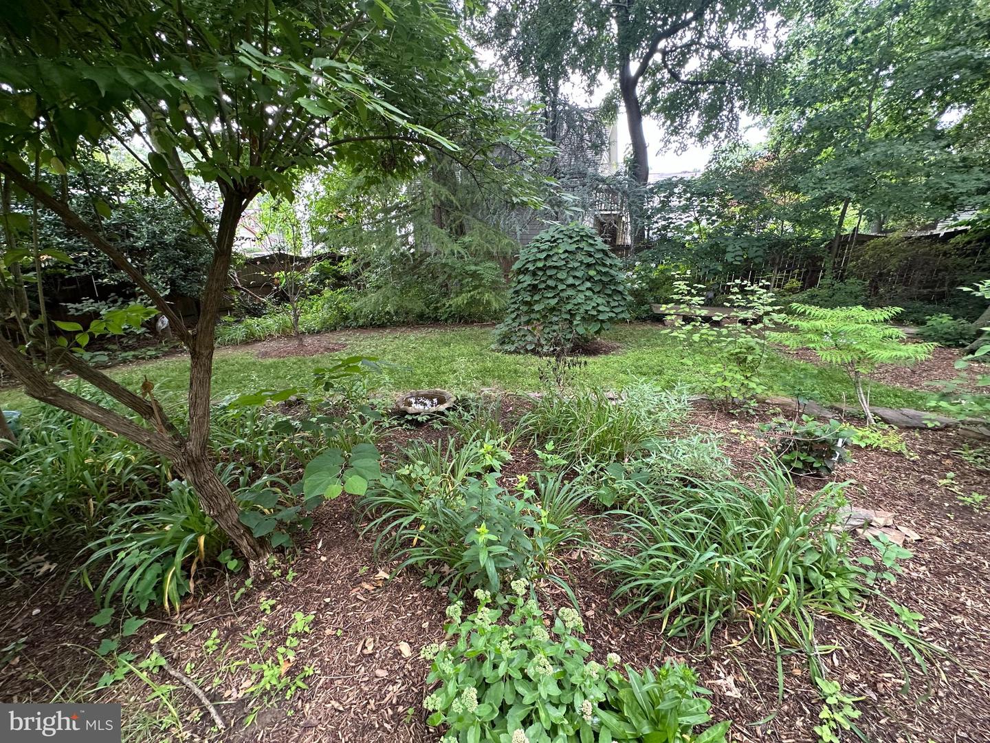 2308 N LEXINGTON ST, ARLINGTON, Virginia 22205, 3 Bedrooms Bedrooms, 5 Rooms Rooms,1 BathroomBathrooms,Residential,For sale,2308 N LEXINGTON ST,VAAR2062086 MLS # VAAR2062086