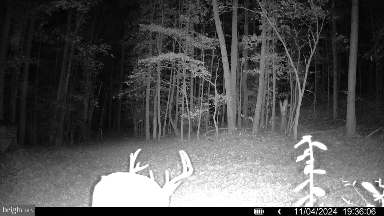 LOT 43A & 34B JENNINGS, RUTHER GLEN, Virginia 22546, ,Land,For sale,LOT 43A & 34B JENNINGS,VACV2008044 MLS # VACV2008044