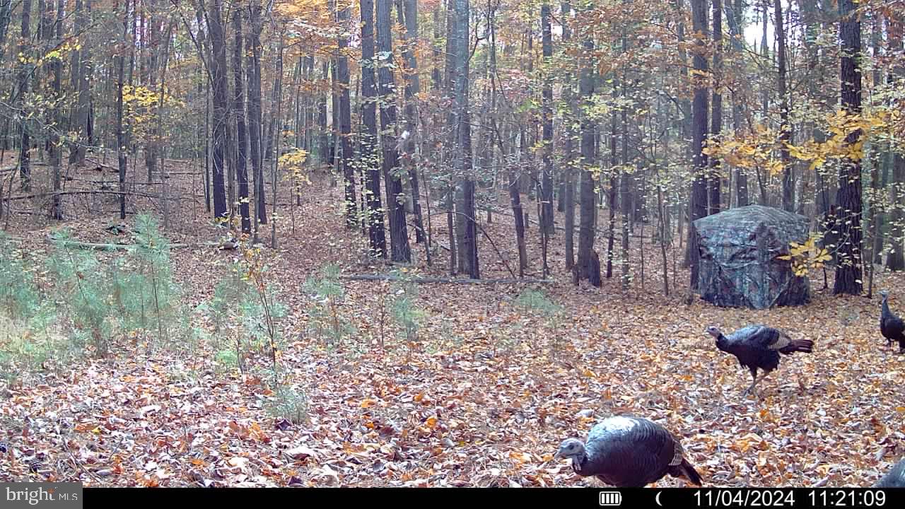 LOT 43A & 34B JENNINGS, RUTHER GLEN, Virginia 22546, ,Land,For sale,LOT 43A & 34B JENNINGS,VACV2008044 MLS # VACV2008044