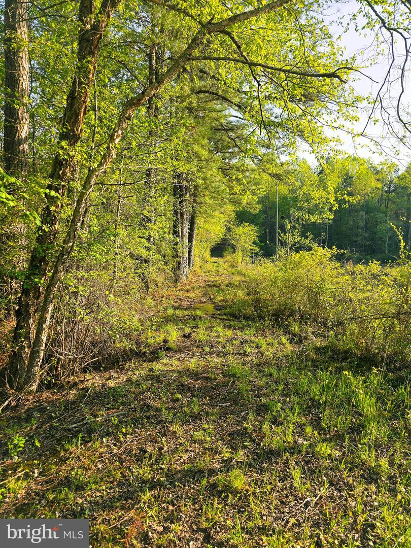 LOT 16 TAX ID 94A-2 B-16 JENNINGS DR, RUTHER GLEN, Virginia 22546, ,Land,For sale,LOT 16 TAX ID 94A-2 B-16 JENNINGS DR,VACV2008046 MLS # VACV2008046