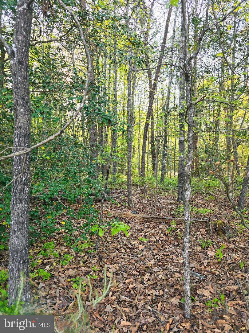 LOT 16 TAX ID 94A-2 B-16 JENNINGS DR, RUTHER GLEN, Virginia 22546, ,Land,For sale,LOT 16 TAX ID 94A-2 B-16 JENNINGS DR,VACV2008046 MLS # VACV2008046