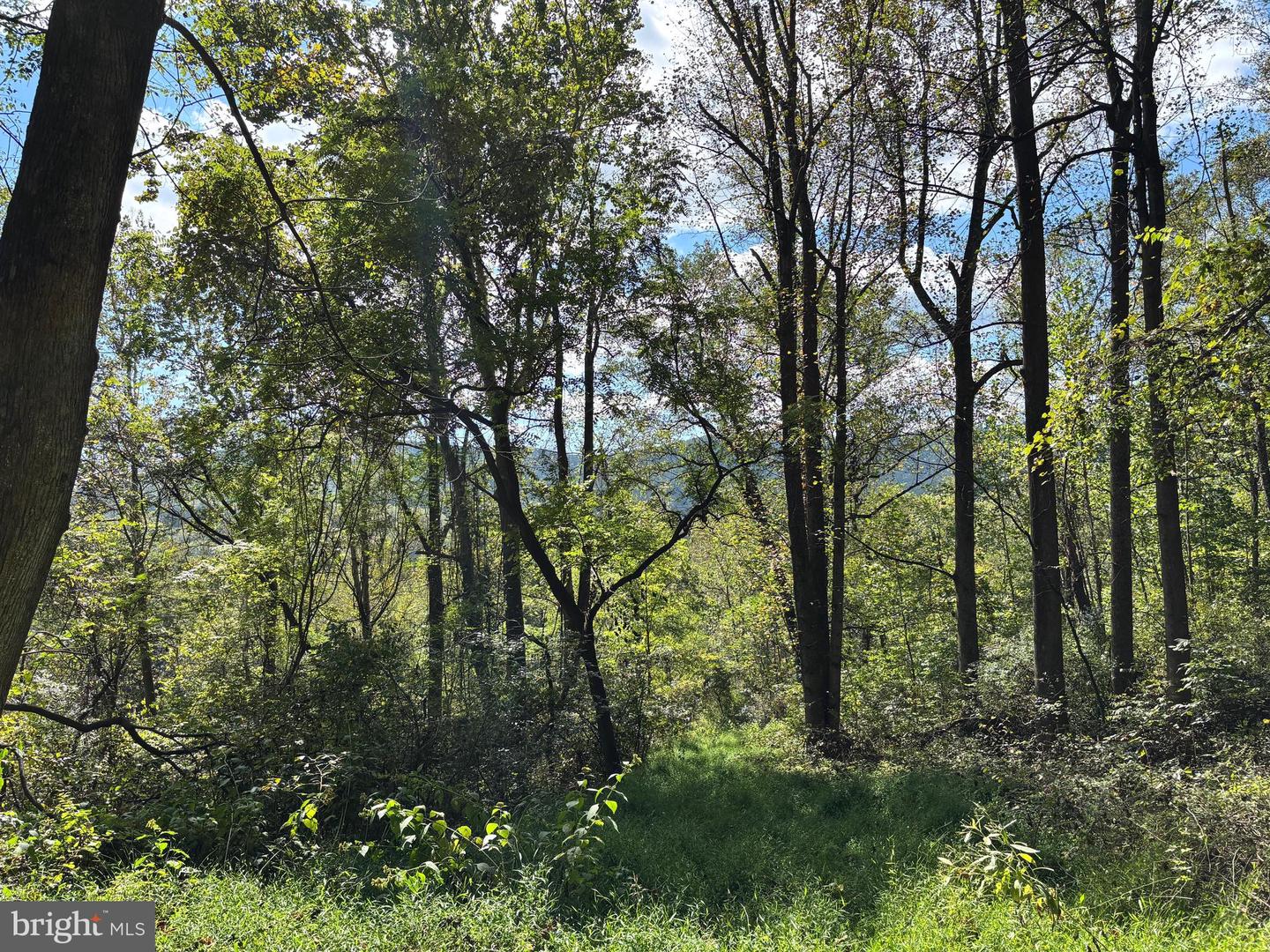 0 HARRIS HOLLOW RD, WASHINGTON, Virginia 22747, ,Land,For sale,0 HARRIS HOLLOW RD,VARP2002304 MLS # VARP2002304