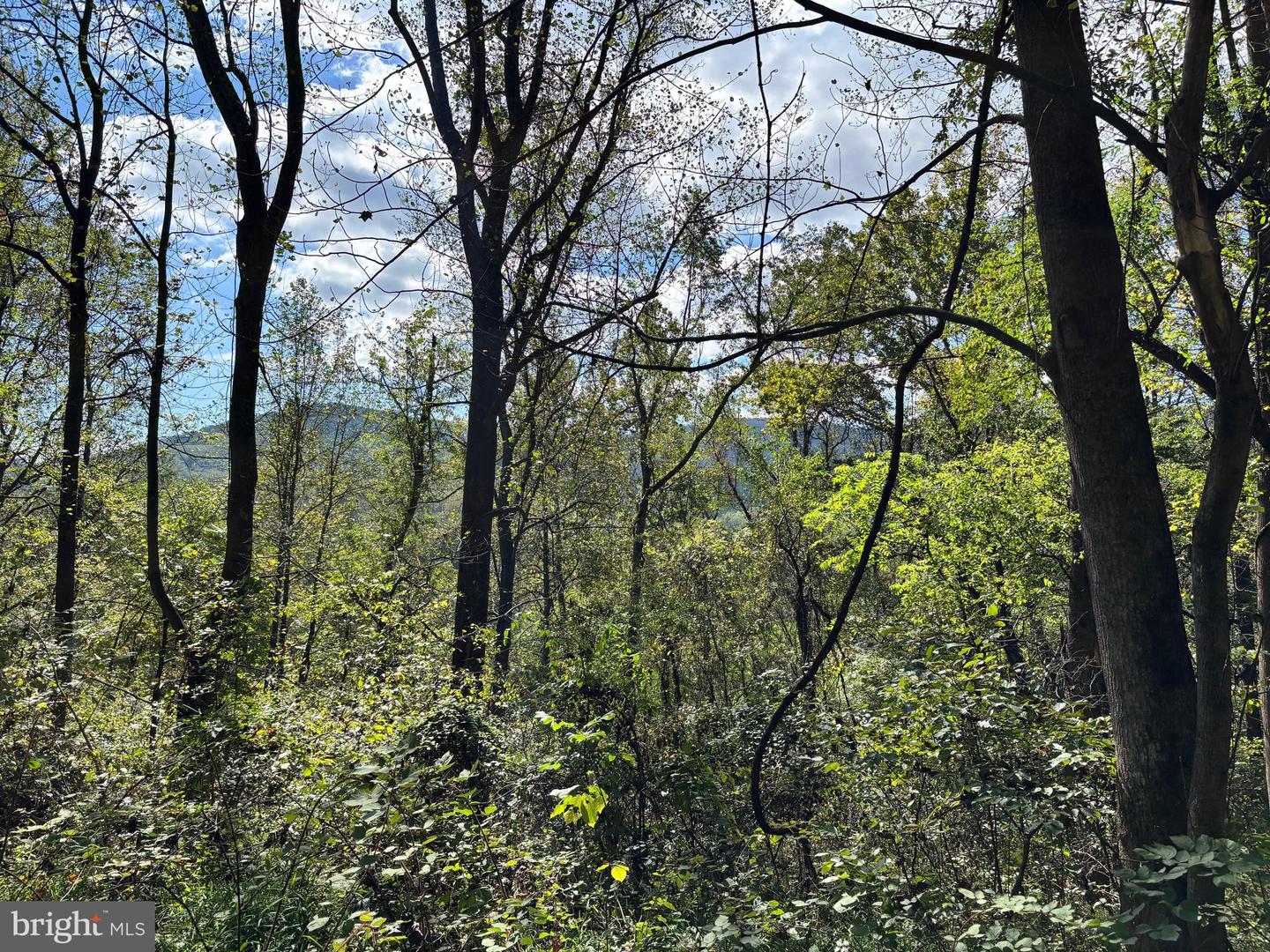 0 HARRIS HOLLOW RD, WASHINGTON, Virginia 22747, ,Land,For sale,0 HARRIS HOLLOW RD,VARP2002304 MLS # VARP2002304