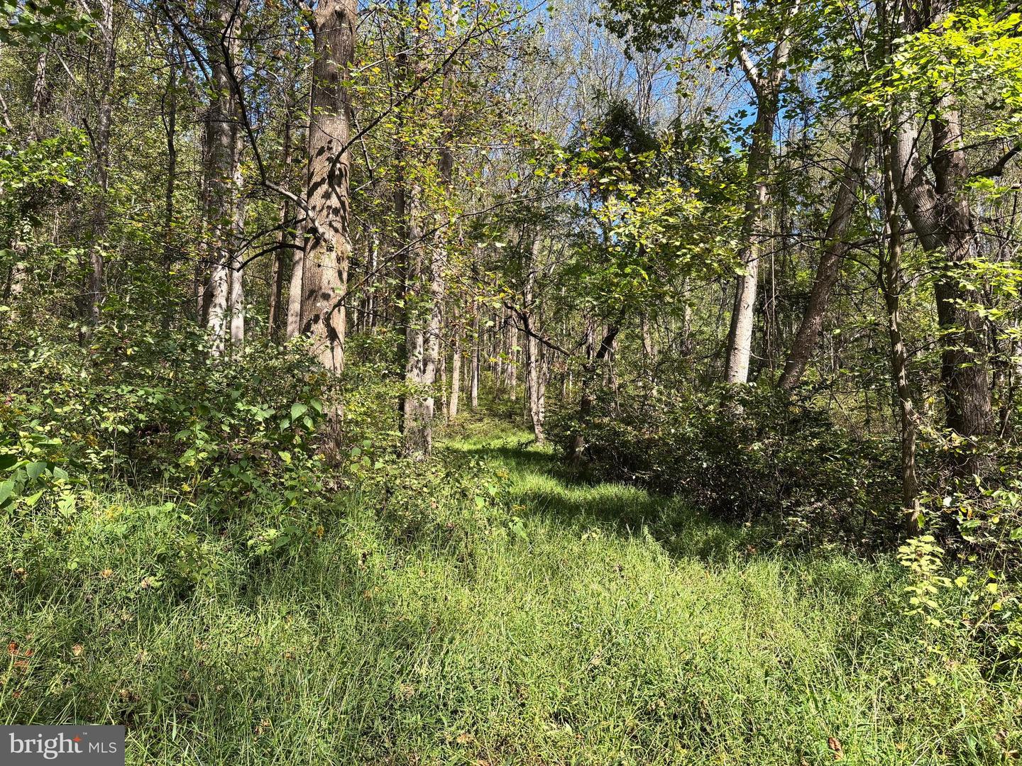 0 HARRIS HOLLOW RD, WASHINGTON, Virginia 22747, ,Land,For sale,0 HARRIS HOLLOW RD,VARP2002304 MLS # VARP2002304