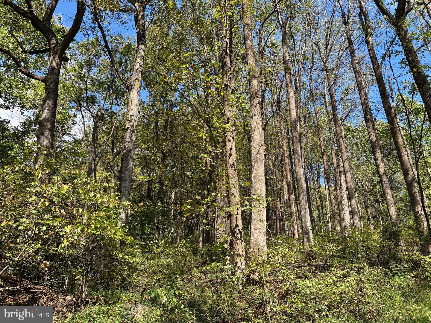 0 HARRIS HOLLOW RD, WASHINGTON, Virginia 22747, ,Land,For sale,0 HARRIS HOLLOW RD,VARP2002304 MLS # VARP2002304