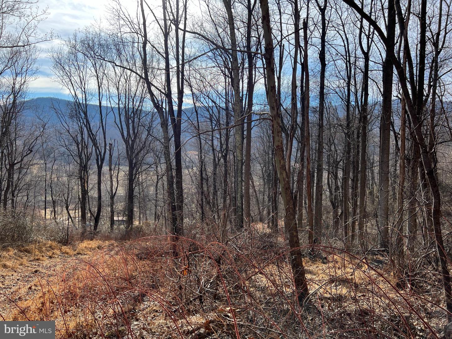 0 HARRIS HOLLOW RD, WASHINGTON, Virginia 22747, ,Land,For sale,0 HARRIS HOLLOW RD,VARP2002304 MLS # VARP2002304 0 HARRIS HOLLOW RD, WASHINGTON, Virginia 22747, ,Land,For sale,0 HARRIS HOLLOW RD,VARP2002304 MLS # VARP2002304