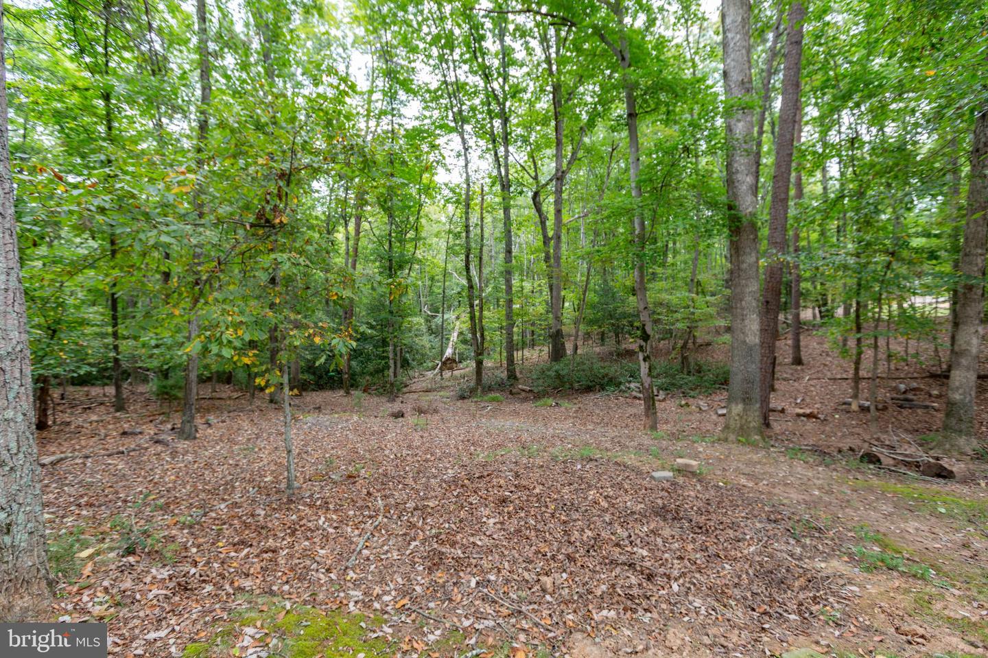 13515 PERIMETER DR, FREDERICKSBURG, Virginia 22407, 4 Bedrooms Bedrooms, 16 Rooms Rooms,3 BathroomsBathrooms,Residential,For sale,13515 PERIMETER DR,VASP2036542 MLS # VASP2036542