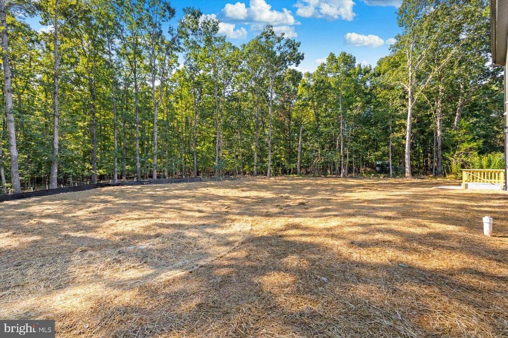 9019 SMITHS BEND RD, FREDERICKSBURG, Virginia 22407, 4 Bedrooms Bedrooms, ,2 BathroomsBathrooms,Residential,9019 SMITHS BEND RD,VASP2036700 MLS # VASP2036700
