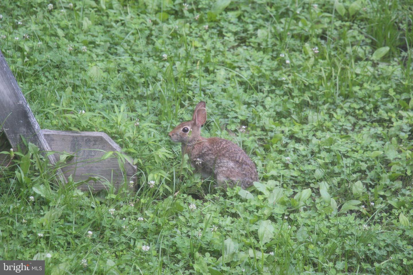 22247 WATSON RD, LEESBURG, Virginia 20175, 4 Bedrooms Bedrooms, 11 Rooms Rooms,2 BathroomsBathrooms,Residential,For sale,22247 WATSON RD,VALO2108166 MLS # VALO2108166