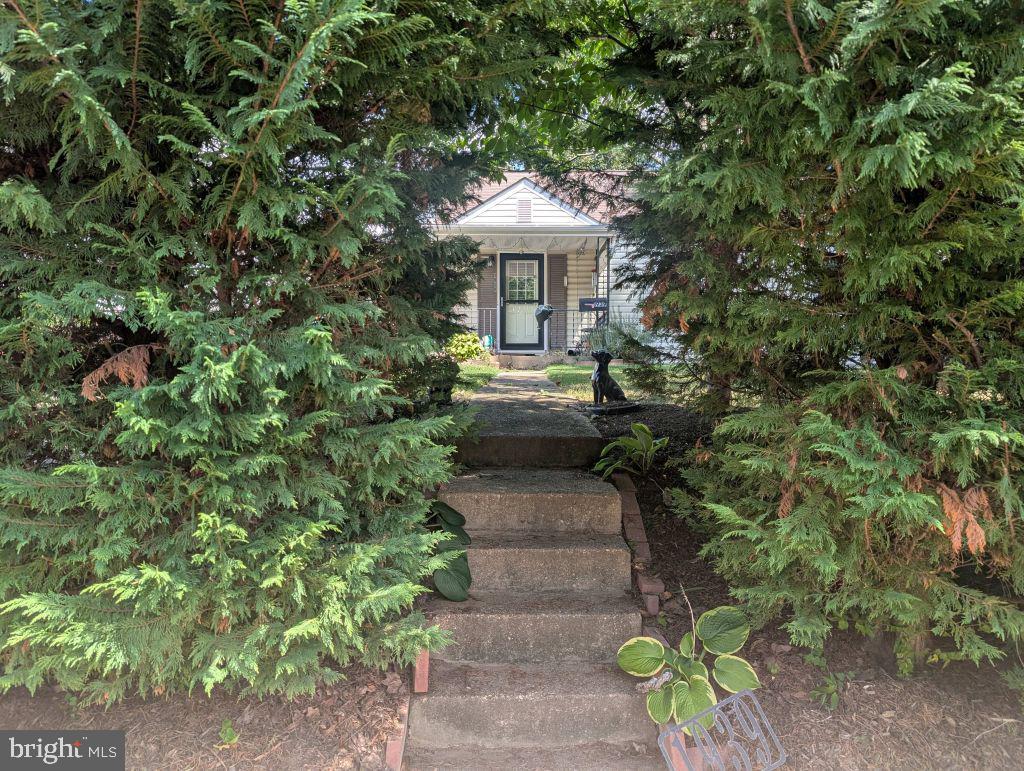 1939 STORM DR, FALLS CHURCH, Virginia 22043, 2 Bedrooms Bedrooms, ,1 BathroomBathrooms,Residential,For sale,1939 STORM DR,VAFX2272642 MLS # VAFX2272642