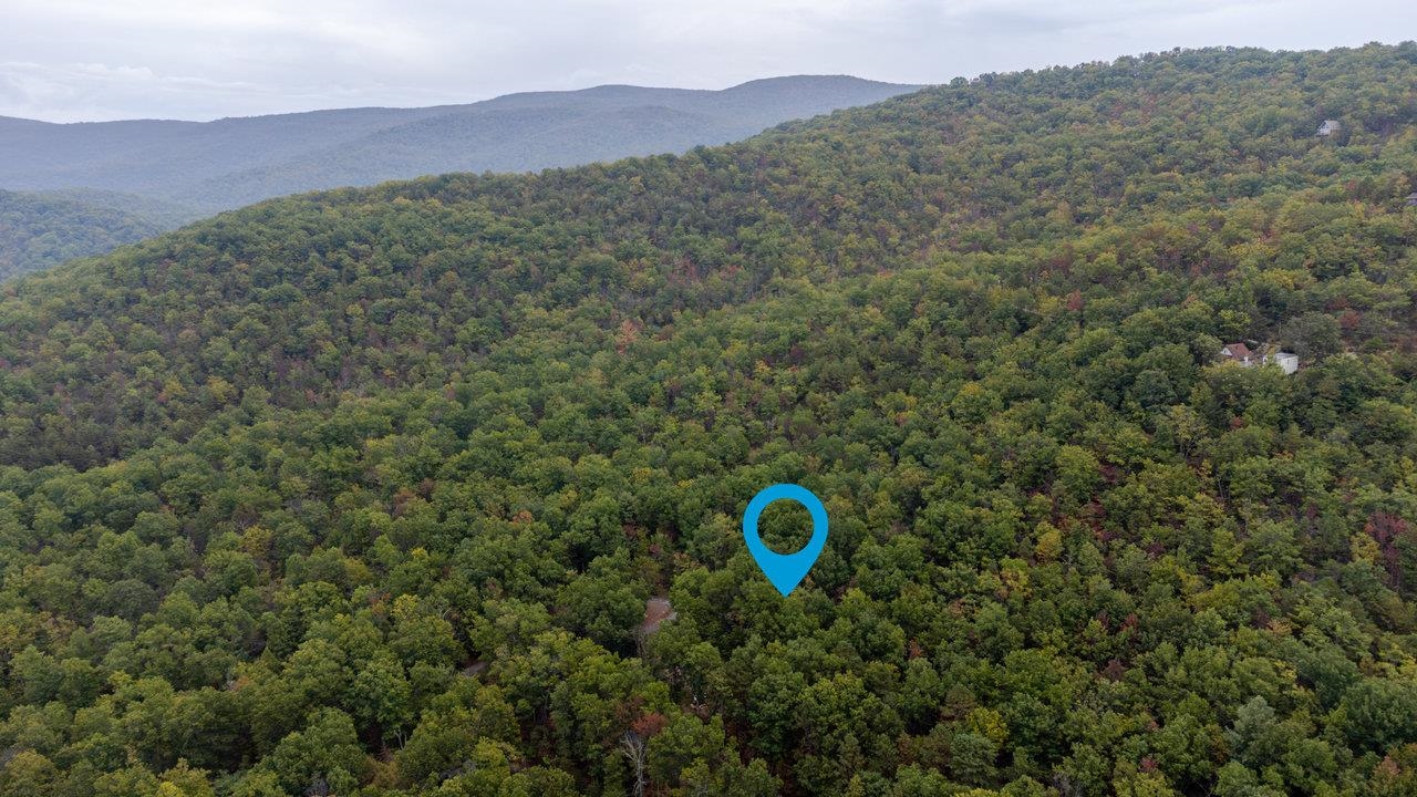 20220 WOODED VIEW LN, ELKTON, Virginia 22827, 3 Bedrooms Bedrooms, ,2 BathroomsBathrooms,Residential,Huckleberry Mountain Cabin,20220 WOODED VIEW LN,669640 MLS # 669640