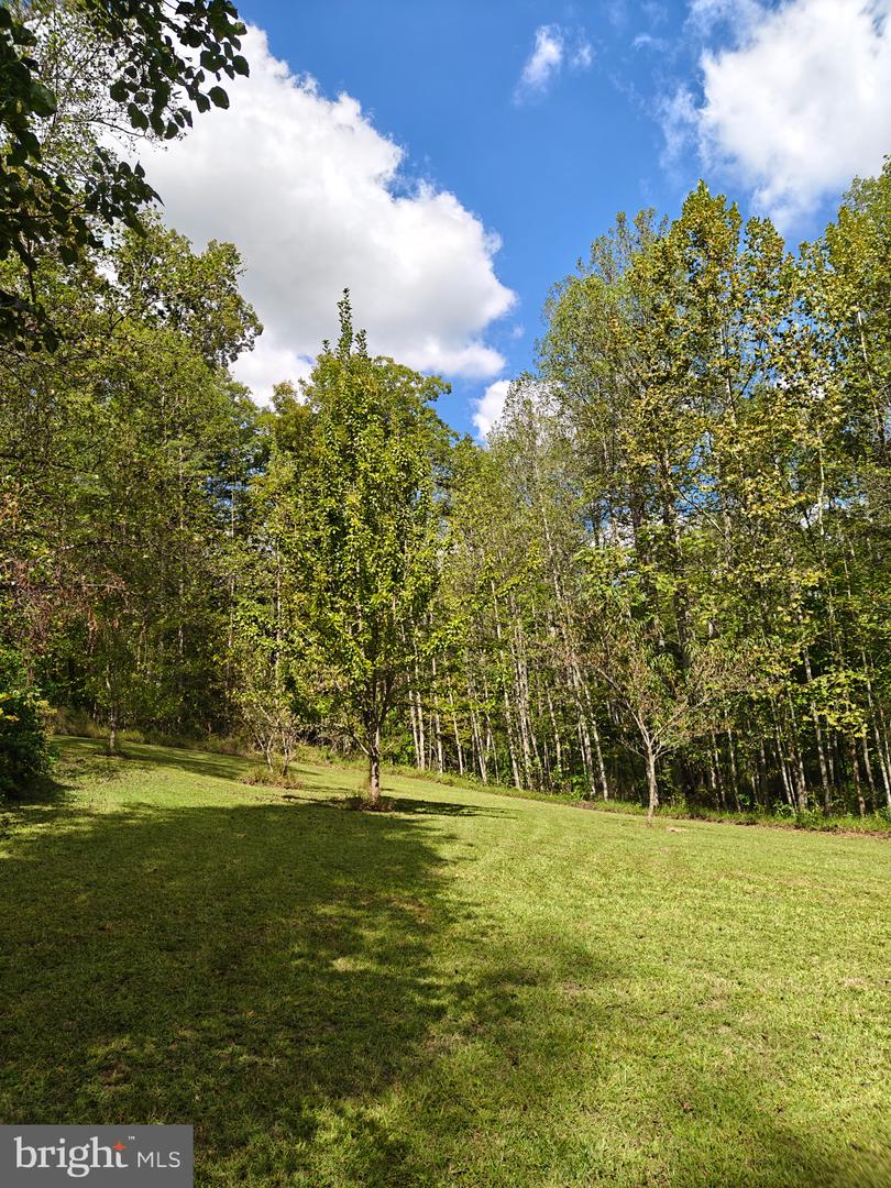 133 OAKS LN, MADISON, Virginia 22727, 4 Bedrooms Bedrooms, ,3 BathroomsBathrooms,Residential,For sale,133 OAKS LN,VAMA2002460 MLS # VAMA2002460