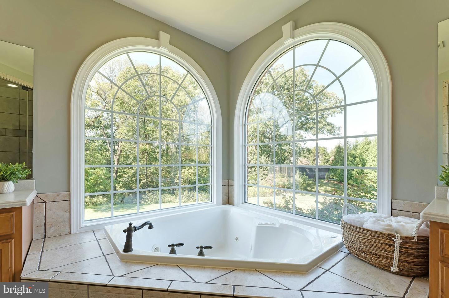 17009 BOLD VENTURE DR, LEESBURG, Virginia 20176, 4 Bedrooms Bedrooms, ,5 BathroomsBathrooms,Residential,For sale,17009 BOLD VENTURE DR,VALO2107466 MLS # VALO2107466