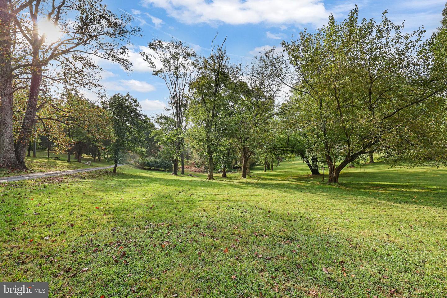 19558 LOUDOUN ORCHARD RD, LEESBURG, Virginia 20175, 3 Bedrooms Bedrooms, ,2 BathroomsBathrooms,Residential,For sale,19558 LOUDOUN ORCHARD RD,VALO2107672 MLS # VALO2107672