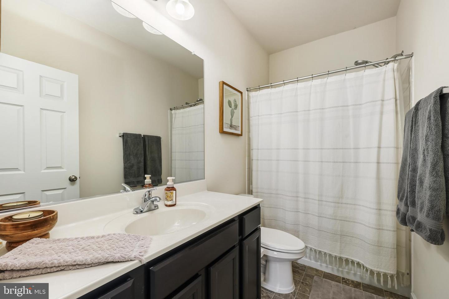 219 MILES HAWK TER, PURCELLVILLE, Virginia 20132, 2 Bedrooms Bedrooms, ,3 BathroomsBathrooms,Residential,For sale,219 MILES HAWK TER,VALO2107822 MLS # VALO2107822