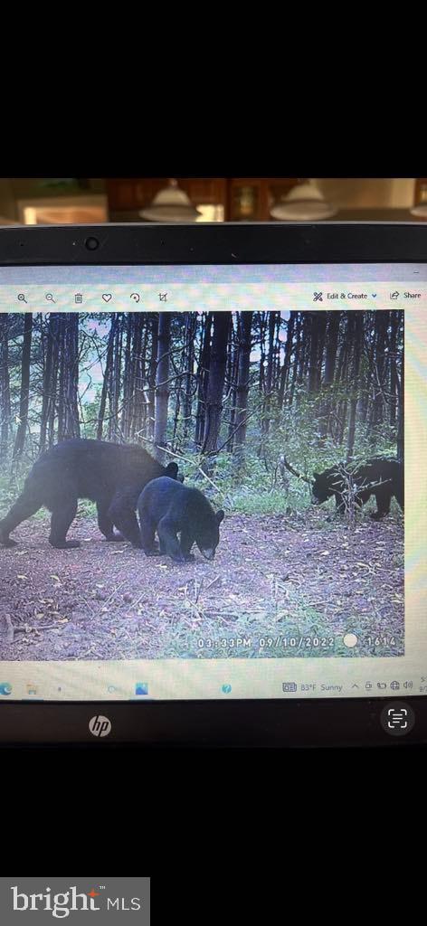 LEE HIGHWAY, AMISSVILLE, Virginia 20106, ,Land,For sale,LEE HIGHWAY,VARP2002294 MLS # VARP2002294