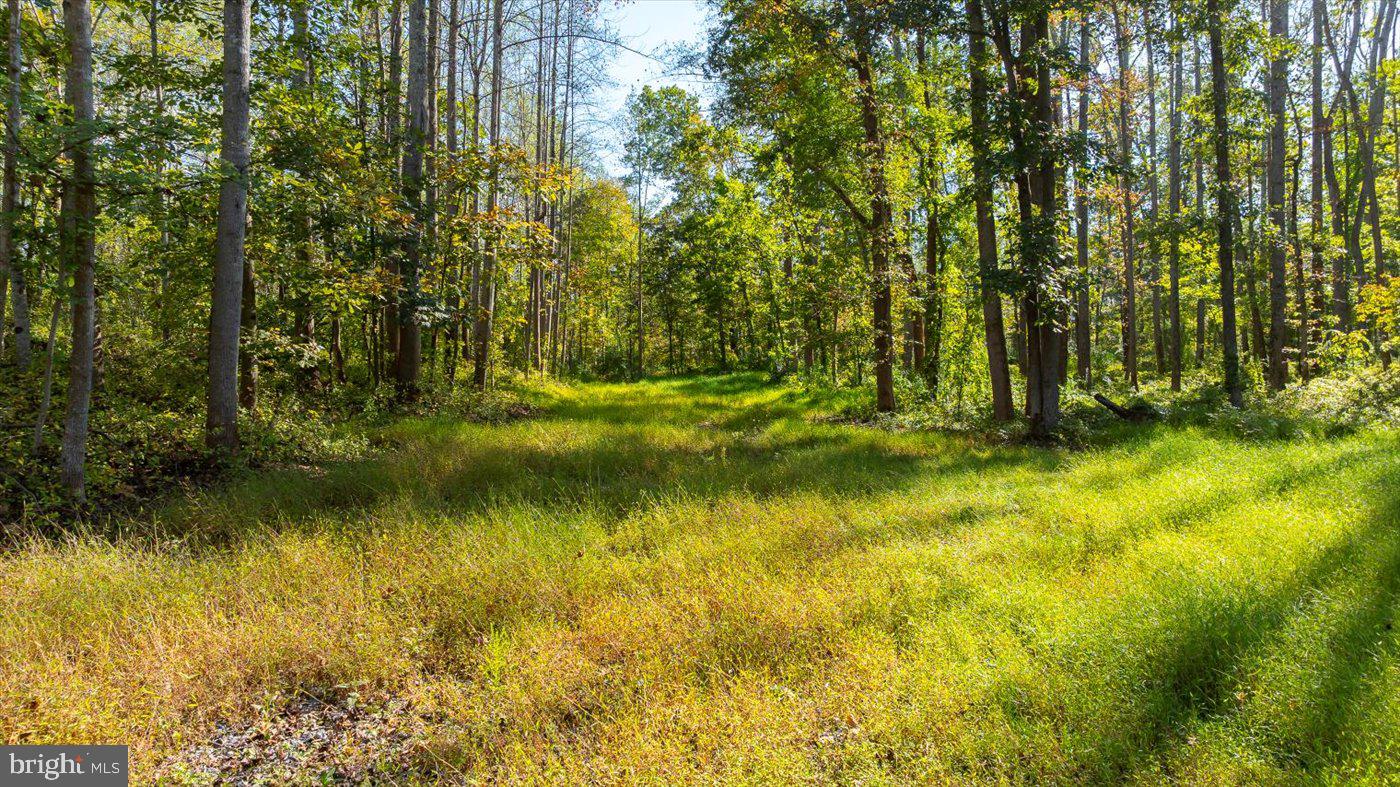 LEE HIGHWAY, AMISSVILLE, Virginia 20106, ,Land,For sale,LEE HIGHWAY,VARP2002294 MLS # VARP2002294