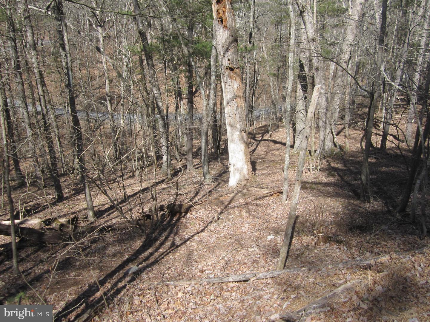 180 SPRUCE LN, MOUNT JACKSON, Virginia 22842, ,Land,For sale,180 SPRUCE LN,VASH2012706 MLS # VASH2012706