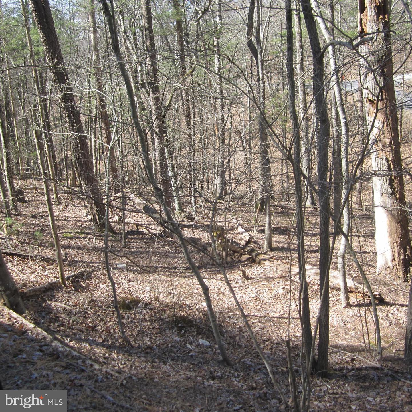 180 SPRUCE LN, MOUNT JACKSON, Virginia 22842, ,Land,For sale,180 SPRUCE LN,VASH2012706 MLS # VASH2012706