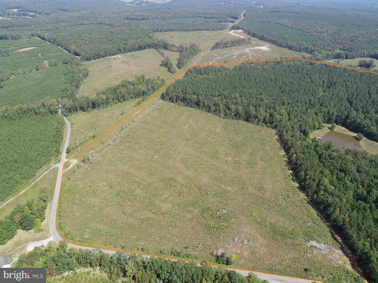 COMMUNITY HOUSE ROAD (TRACT: JR RAGLAND-HOLLAND-2), COLUMBIA, Virginia 23038, ,Farm,For sale,COMMUNITY HOUSE ROAD (TRACT: JR RAGLAND-HOLLAND-2),VAFN2000510 MLS # VAFN2000510