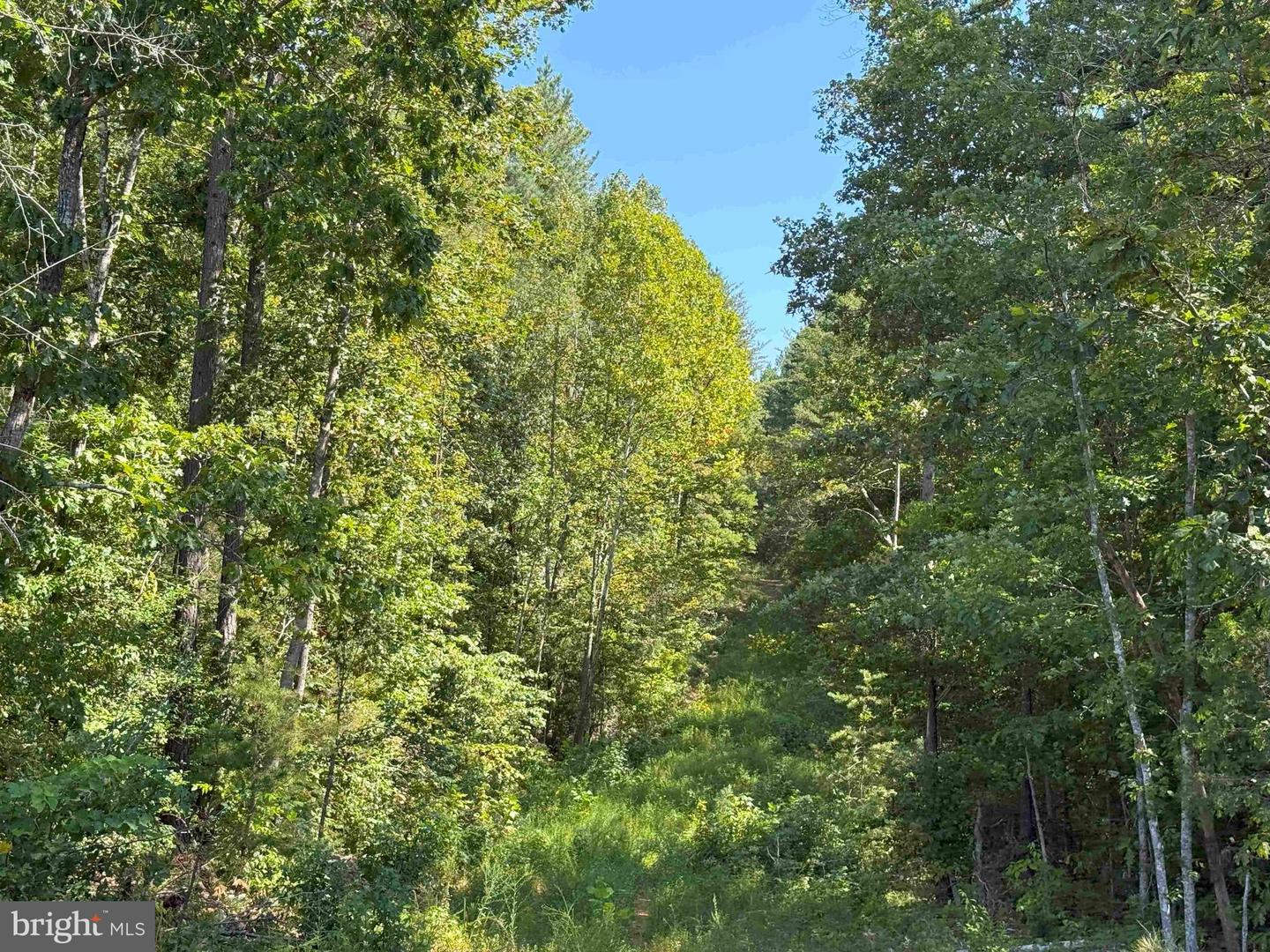 COMMUNITY HOUSE ROAD (TRACT: JR RAGLAND-HOLLAND-2), COLUMBIA, Virginia 23038, ,Farm,For sale,COMMUNITY HOUSE ROAD (TRACT: JR RAGLAND-HOLLAND-2),VAFN2000510 MLS # VAFN2000510