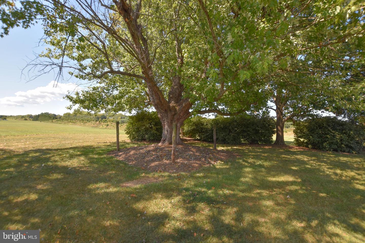 42235 GREEN MEADOW LN, LEESBURG, Virginia 20176, 5 Bedrooms Bedrooms, ,4 BathroomsBathrooms,Residential,For sale,42235 GREEN MEADOW LN,VALO2106502 MLS # VALO2106502