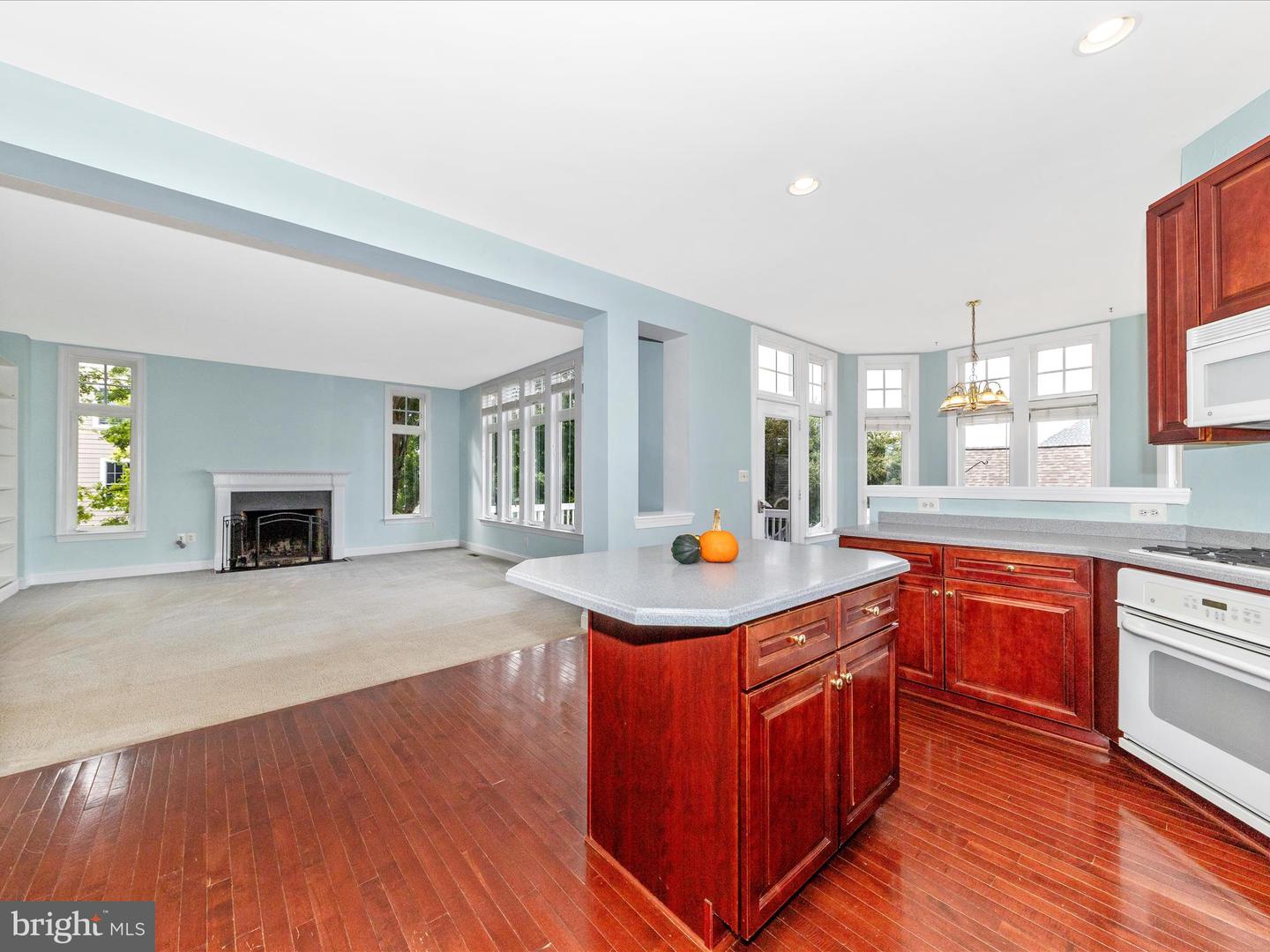 619 GREYSANDS LN, PURCELLVILLE, Virginia 20132, 4 Bedrooms Bedrooms, ,2 BathroomsBathrooms,Residential,For sale,619 GREYSANDS LN,VALO2106716 MLS # VALO2106716