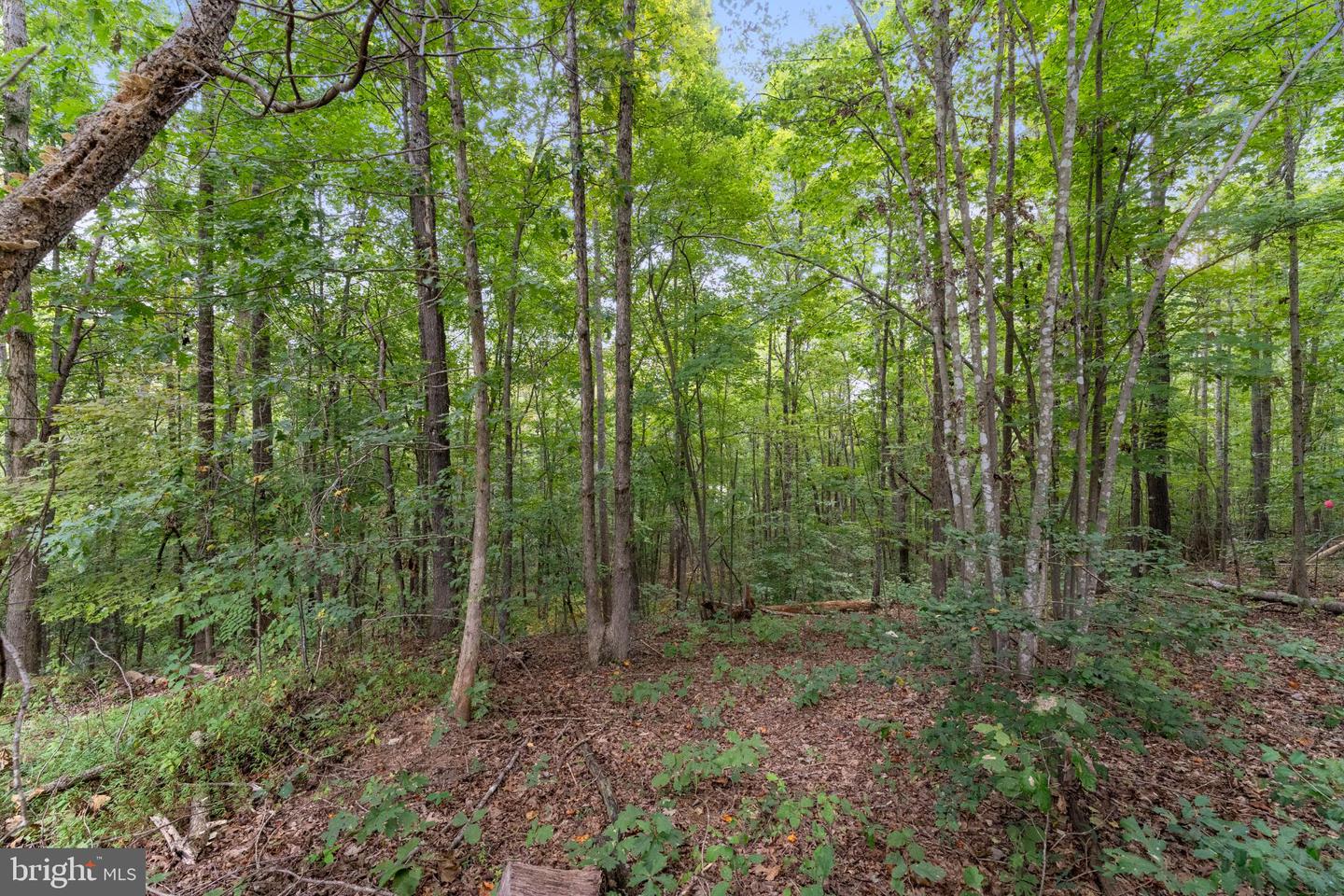 1452 C G WOODSON RD, NEW CANTON, Virginia 23123, 4 Bedrooms Bedrooms, 9 Rooms Rooms,2 BathroomsBathrooms,Residential,For sale,1452 C G WOODSON RD,VABH2000214 MLS # VABH2000214