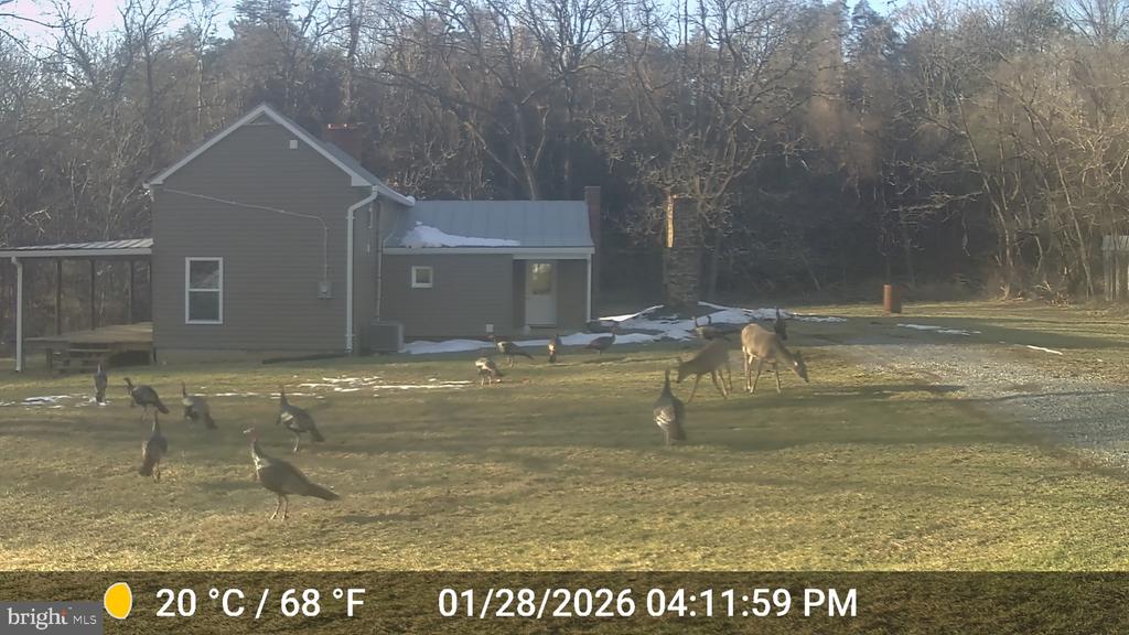 2002 BALKAMORE HILL RD, STANLEY, Virginia 22851, 3 Bedrooms Bedrooms, ,2 BathroomsBathrooms,Residential,2002 BALKAMORE HILL RD,VAPA2005408 MLS # VAPA2005408