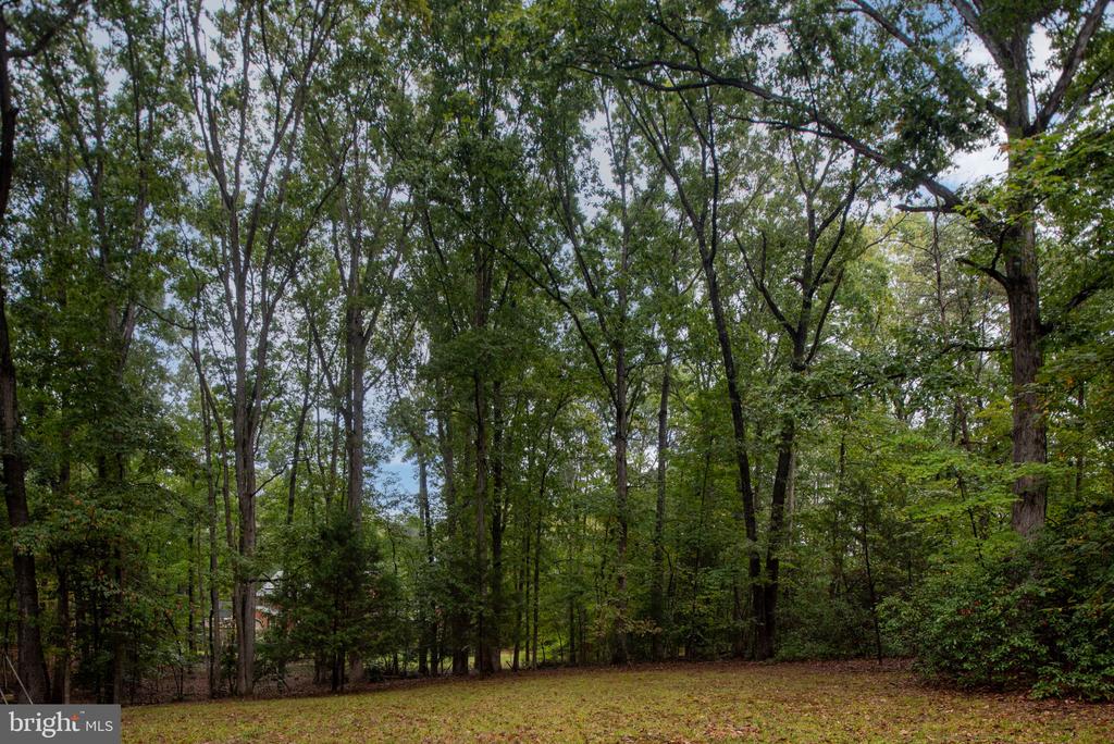 2 RIVER BLUFFS DR, FREDERICKSBURG, Virginia 22407, 4 Bedrooms Bedrooms, ,2 BathroomsBathrooms,Residential,2 RIVER BLUFFS DR,VASP2036636 MLS # VASP2036636