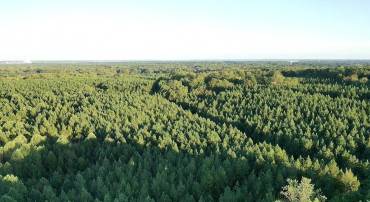 MATHIAS POINT RD, KING GEORGE, Virginia 22485, ,Farm,For sale,MATHIAS POINT RD,VAKG2007058 MLS # VAKG2007058