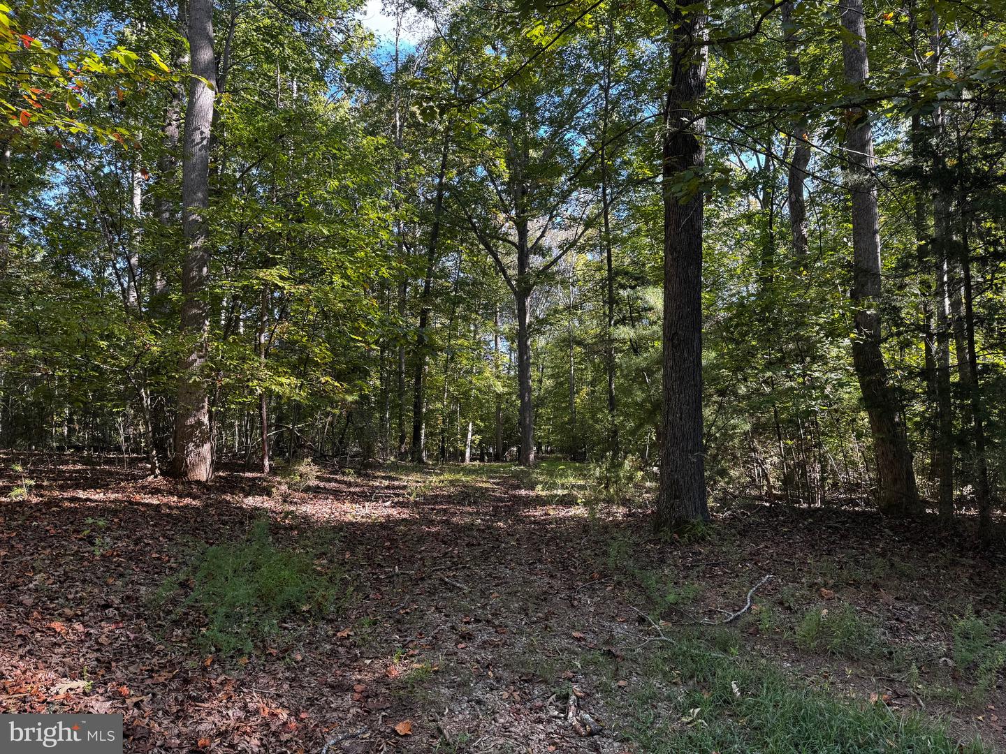 LOT 2 SIR WALTER DRIVE, BUMPASS, Virginia 23024, ,Land,For sale,LOT 2 SIR WALTER DRIVE,VALA2008684 MLS # VALA2008684