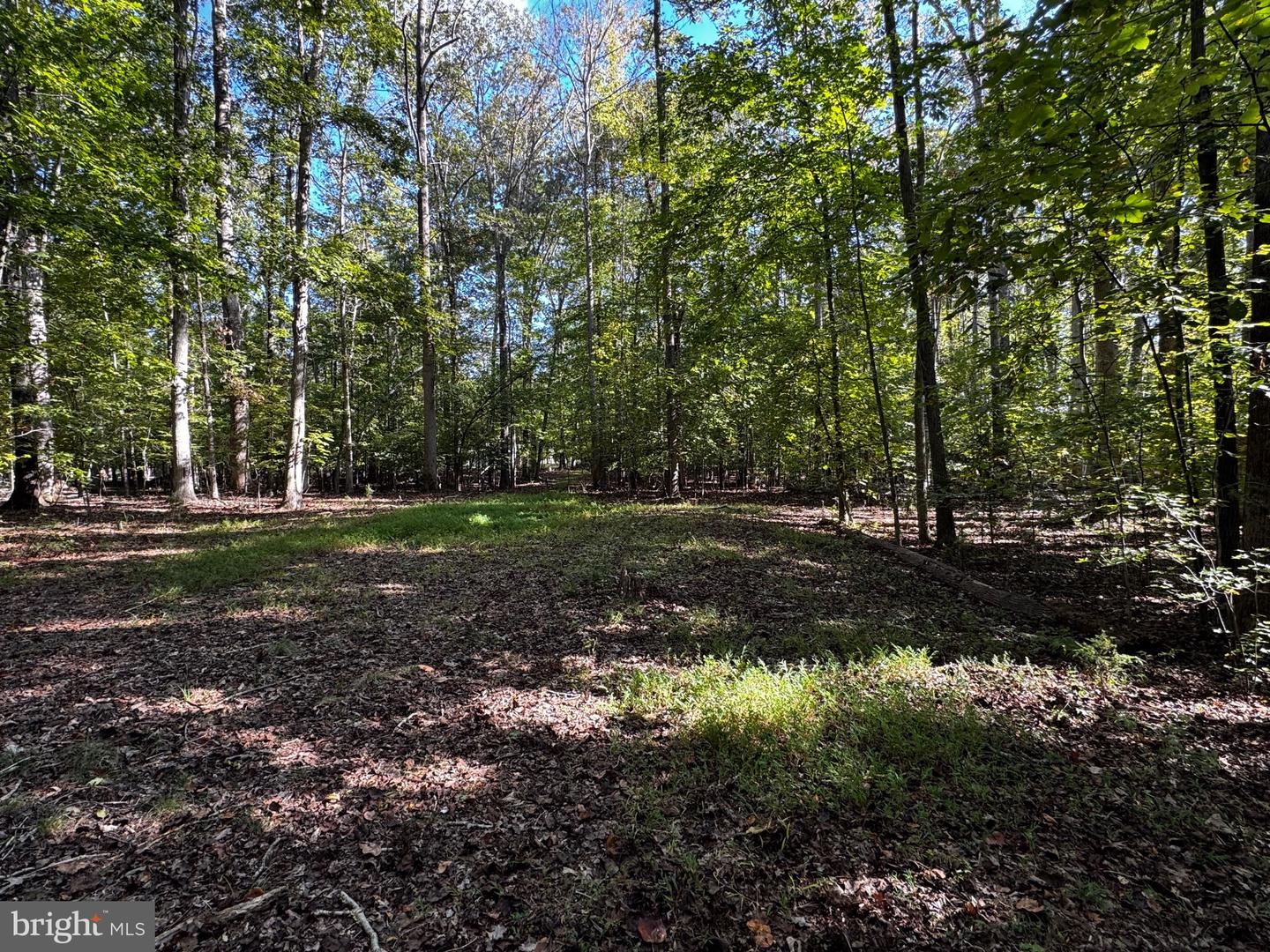 LOT 2 SIR WALTER DRIVE, BUMPASS, Virginia 23024, ,Land,For sale,LOT 2 SIR WALTER DRIVE,VALA2008684 MLS # VALA2008684