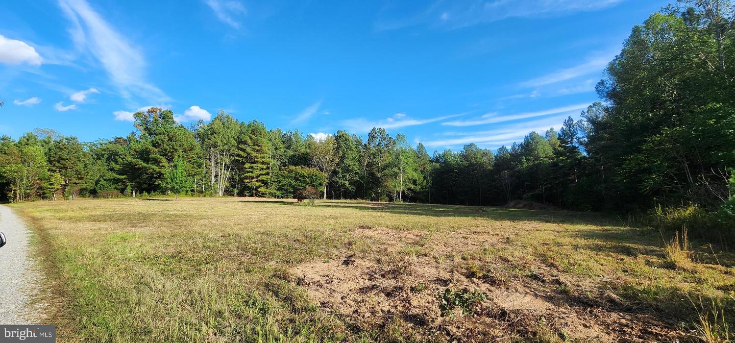 943 WHITE WALNUT RD, LOUISA, Virginia 23093, ,Land,For sale,943 WHITE WALNUT RD,VALA2008686 MLS # VALA2008686