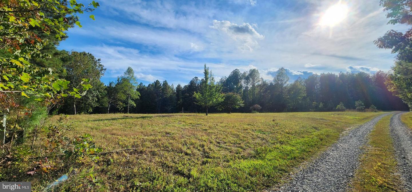 943 WHITE WALNUT RD, LOUISA, Virginia 23093, ,Land,For sale,943 WHITE WALNUT RD,VALA2008686 MLS # VALA2008686