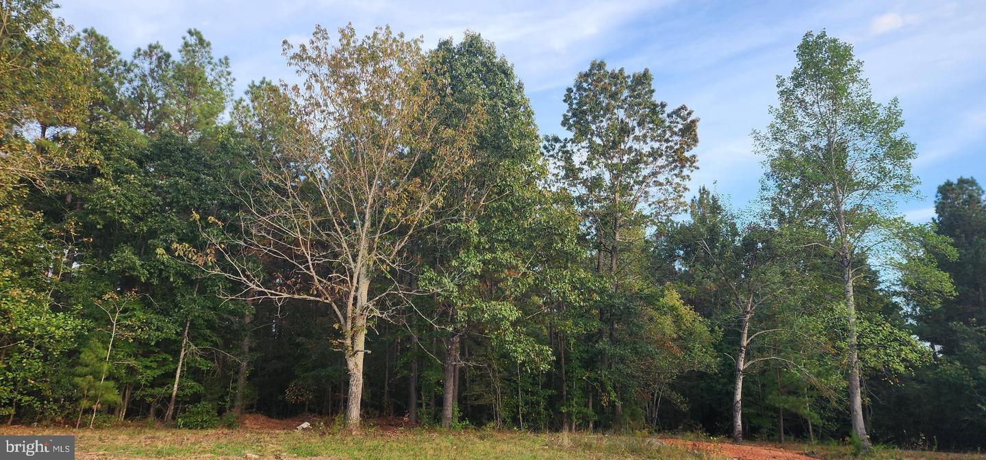 943 WHITE WALNUT RD, LOUISA, Virginia 23093, ,Land,For sale,943 WHITE WALNUT RD,VALA2008686 MLS # VALA2008686