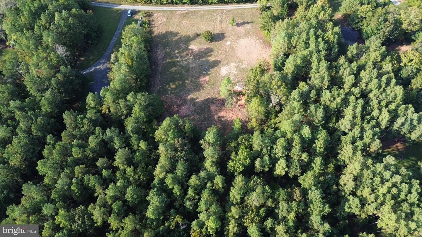 943 WHITE WALNUT RD, LOUISA, Virginia 23093, ,Land,For sale,943 WHITE WALNUT RD,VALA2008686 MLS # VALA2008686