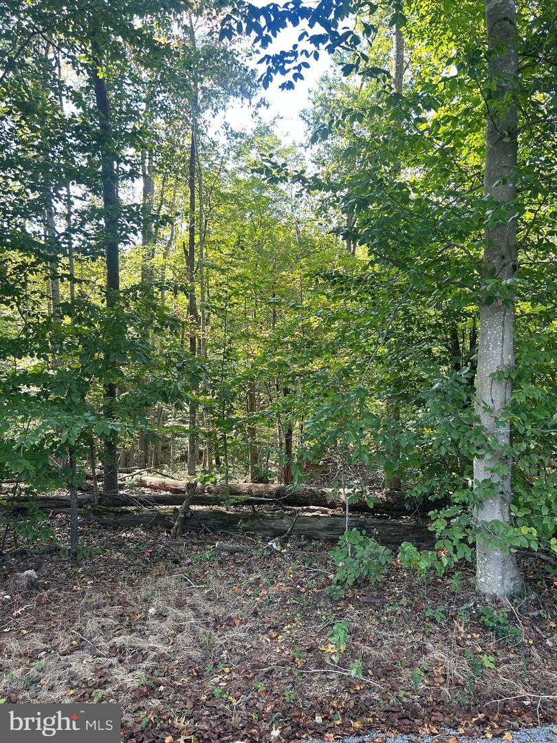 COUNTRYSIDE LN, LIGNUM, Virginia 22726, ,Land,For sale,COUNTRYSIDE LN,VACU2011752 MLS # VACU2011752