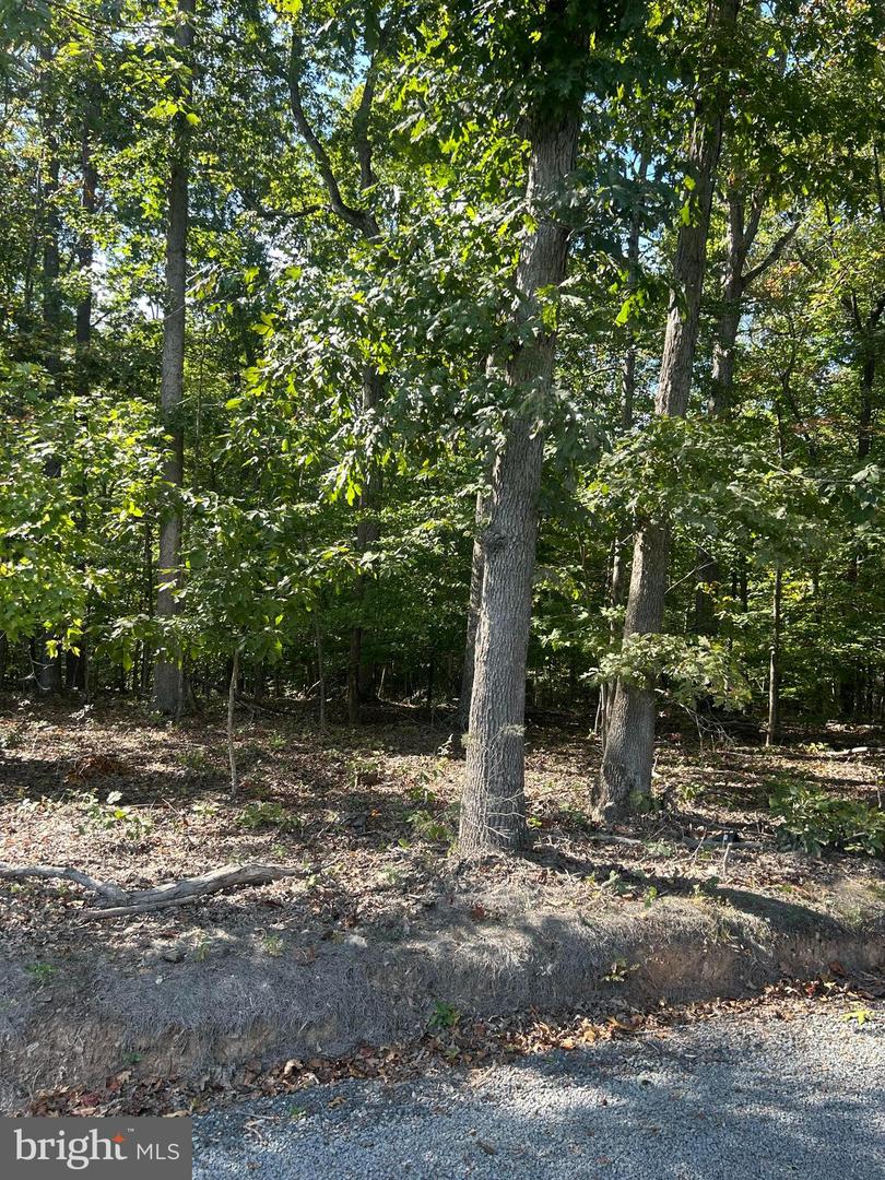 COUNTRYSIDE LN, LIGNUM, Virginia 22726, ,Land,For sale,COUNTRYSIDE LN,VACU2011752 MLS # VACU2011752