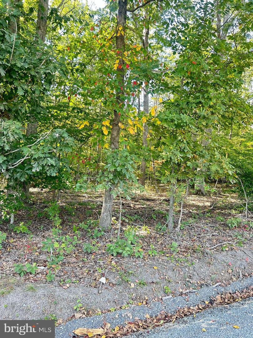 COUNTRYSIDE LN, LIGNUM, Virginia 22726, ,Land,For sale,COUNTRYSIDE LN,VACU2011752 MLS # VACU2011752