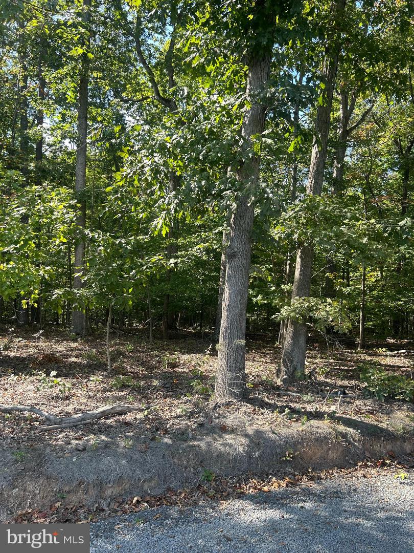COUNTRYSIDE LN, LIGNUM, Virginia 22726, ,Land,For sale,COUNTRYSIDE LN,VACU2011752 MLS # VACU2011752